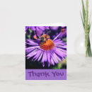 Search for aster flowers cards Floral