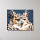 Recherche de owl painting canvas prints Oiseau
