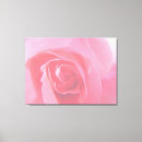 Search for macro rose canvas prints Pink