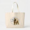 Recherche de wheaten terrier Revêtu