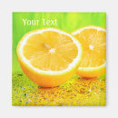 Search for lemon magnets Slice