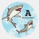 Search for swimming with sharks stickers Fish
