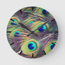 Search for peafowl feather art Feathers
