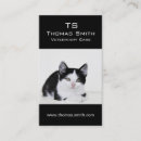 Recherche de chatons cartes visite Mignon
