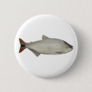 Search for rio buttons South america