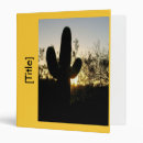 Recherche de saguaro bureau fournitures Coucher du soleil
