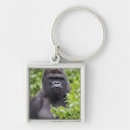 Search for silverback gorilla keychains Animal