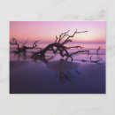 Search for jekyll postcards Coast