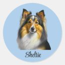 Recherche de shetland autocollants Dog