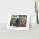 Recherche de cheval humoristique cartes postales Heureux