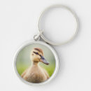 Search for mallard keychains Duck