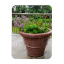 Recherche de horticulture magnets Fleur