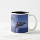 Search for bottlenose dolphin mugs Animal