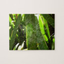 Recherche de spider web puzzles Cobweb
