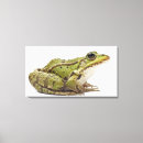 Recherche de blooded art Faune