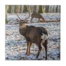 Search for deer tiles Antlers