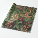 Recherche de haeckel papier cadeau Nature