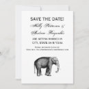 Recherche de défense invitations Pachyderme