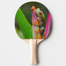 Recherche de grenouille raquettes ping pong Faune