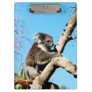 Recherche de koala porte blocs Marsupial