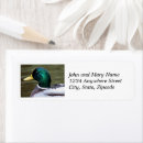 Search for male return address labels Birds
