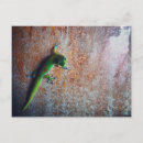 Recherche de île verte cartes postales Tropical