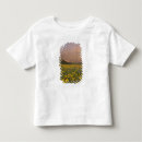 Search for spectacular tshirts No people