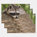 Search for log wrapping paper Cute