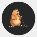 Search for cappy stickers Lifestyle