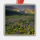 Search for meadow ornaments Montana