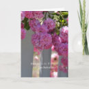 Search for beautiful rose cards Beauty