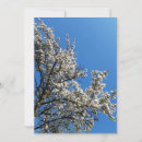 Search for apple tree cards Flowers