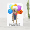 Search for funny chef birthday cards Humour