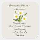 Search for december stickers December birth flower