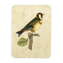 Recherche de oiseaux magnets Animal