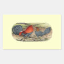 Recherche de grand coq autocollants Oiseau