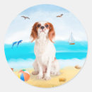 Recherche de cavaliers autocollants Pour tous