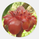 Search for torches stickers Tropical