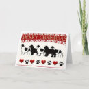 Search for newfoundland dog christmas cards Newfy