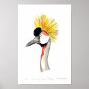 Search for crested posters Wildlife
