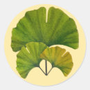 Recherche de ginkgo autocollants Pour tous