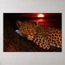 Search for african animals posters Tree