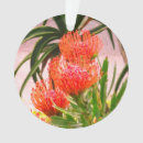 Recherche de tango ornements Pour tous