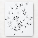 Search for ant electronics Nature