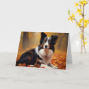 Search for fall border cards Autumn