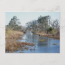 Search for tidal postcards Seascape