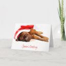 Search for mastiff christmas cards Dog
