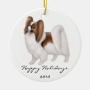Search for papillon ornaments Puppy