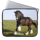 Search for clydesdale electronics Horse