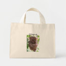 Recherche de primat sacs Mammifère